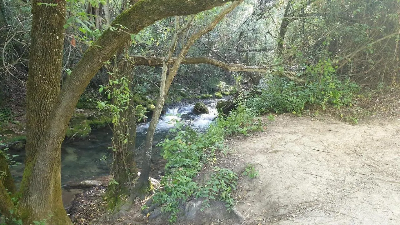 Apartamento Sierra Leon Apartment El Bosque