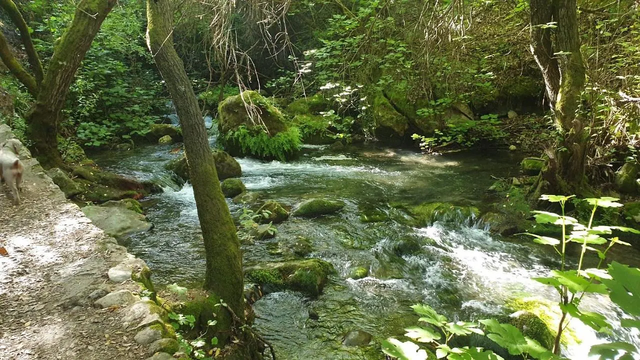 Apartamento Sierra Leon Apartment El Bosque Spain
