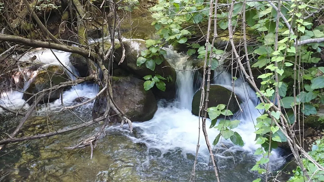 Apartamento Apartamento Sierra León El Bosque