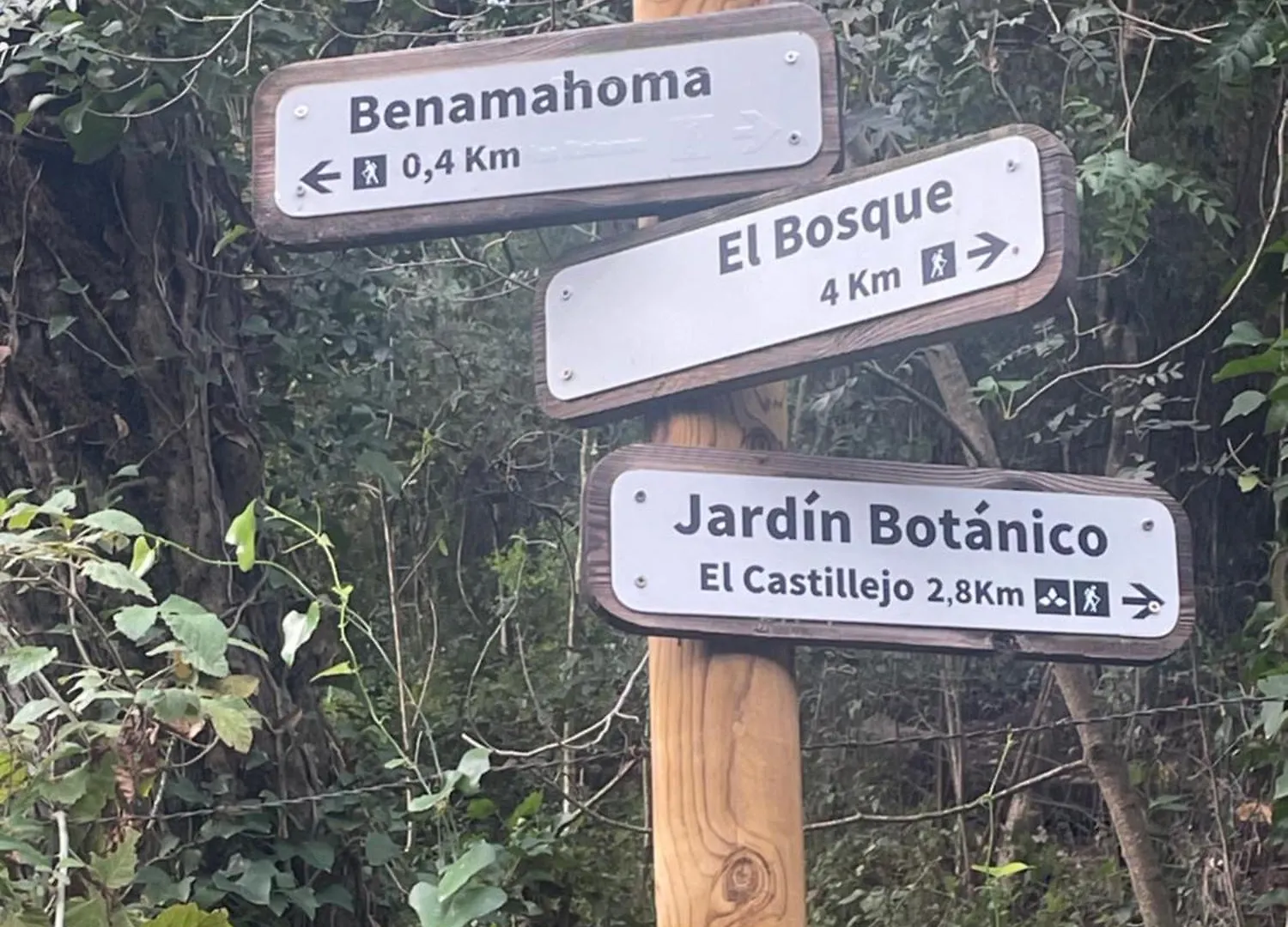 Apartamento Apartamento Sierra León El Bosque España